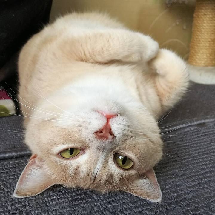 0b507bef 086c 4800 808a 44a2119ba6be 1532162018648