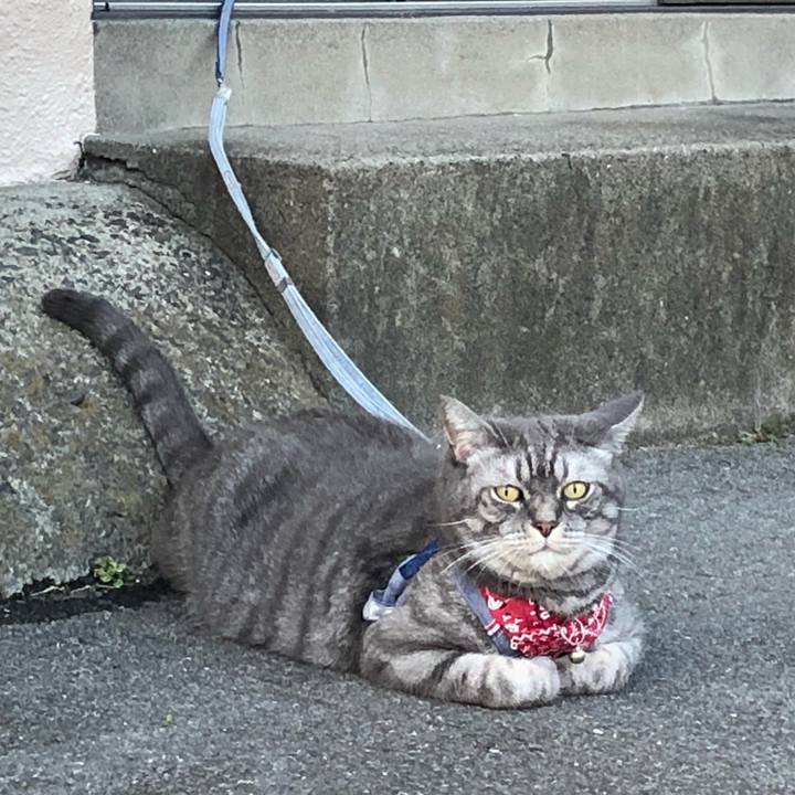 0b5094f3 255d 4933 a85f edb369c2c7f8 1536496114831