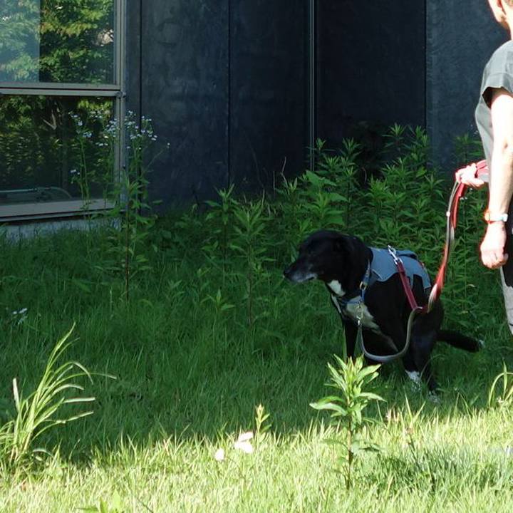 0b50c9fa fc09 4668 a989 250d18e99468 1717548242467