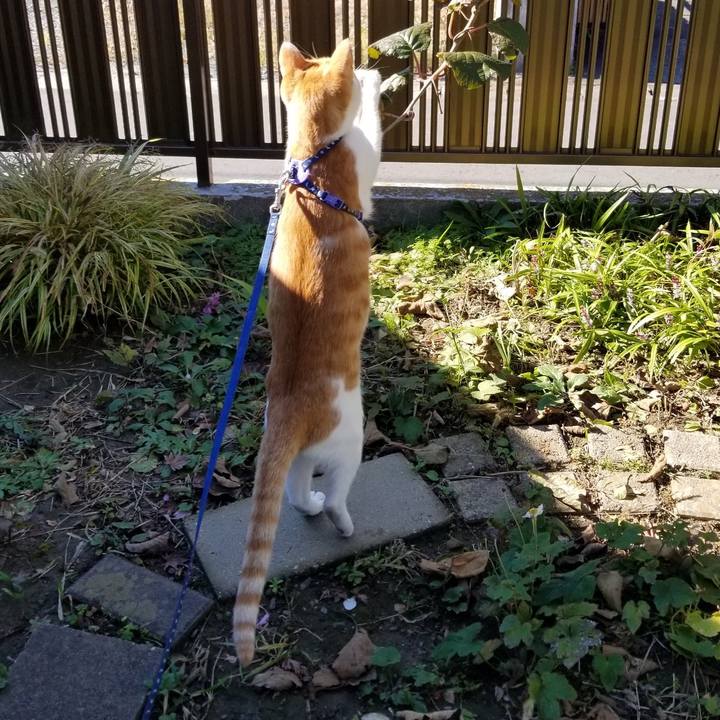 0b514fb7 c4ca 44e9 9cbf 6364aa3b9d69 1541306787587