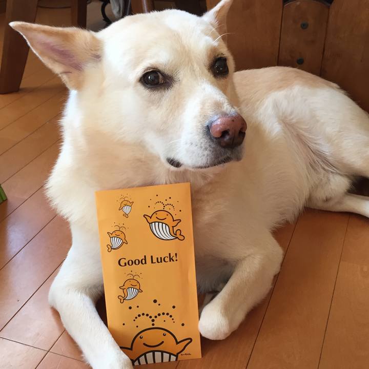 0b519cf2 deab 493e 9792 386eaca97020 1511759818325