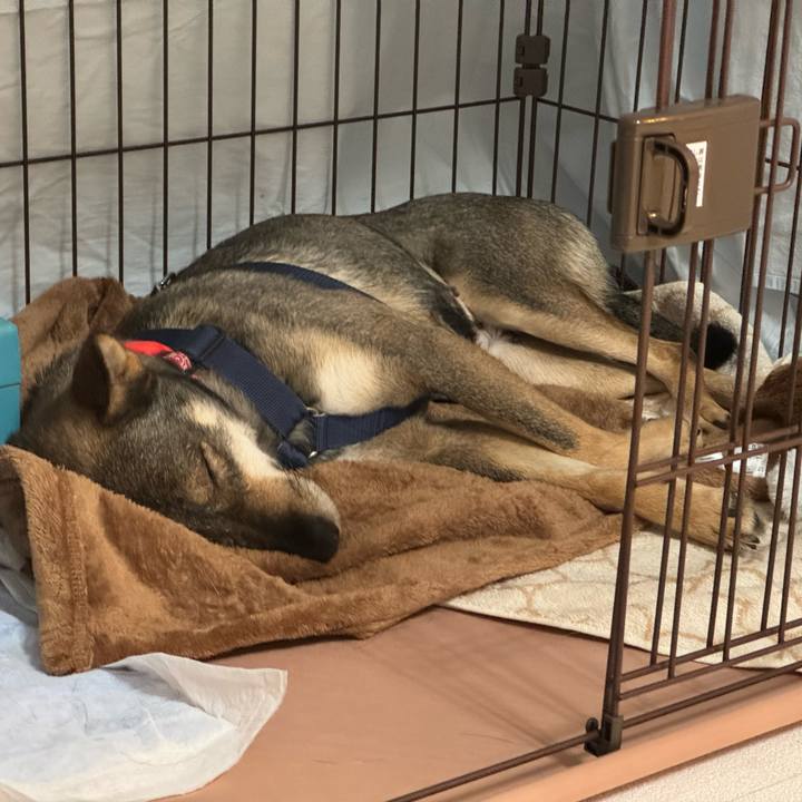 0b51a569 5ab1 44bc be02 9128fabc1d89 1764028256626