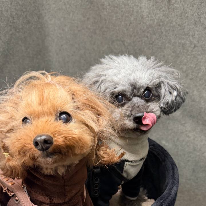 0b51c6df 1593 4e8d 81aa 709c24739c14 1770420367679