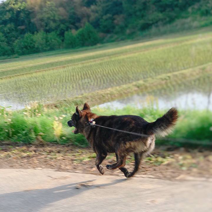 0b51c786 a41f 4b28 a431 6140174e677e 1526336750441