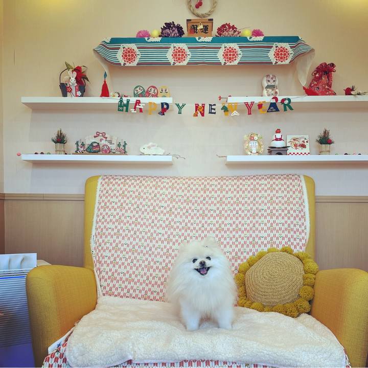 0b51da2c 683b 49c5 bb8e 235eb43da5eb 1673397913960