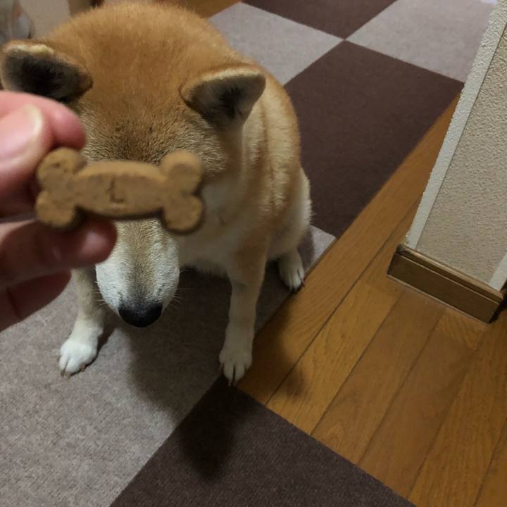 0b51fb40 ede7 4e78 814b 7e00df119323 1562222743853