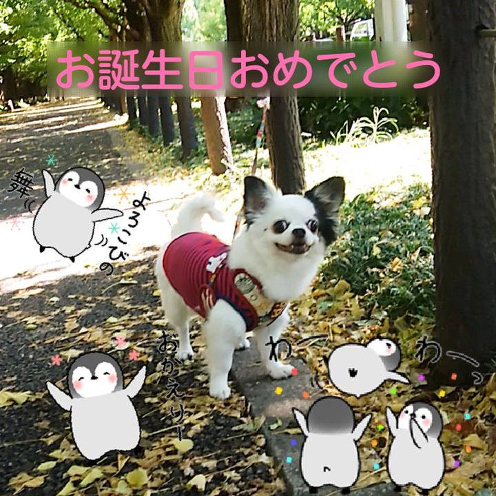 0b5205ab 46f3 4d11 9430 e920c8911629 1663772224190