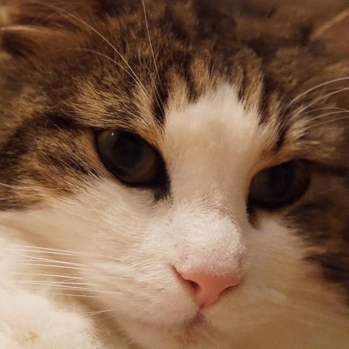 0b521807 1433 4b51 a638 f84695142c14 1567254888610