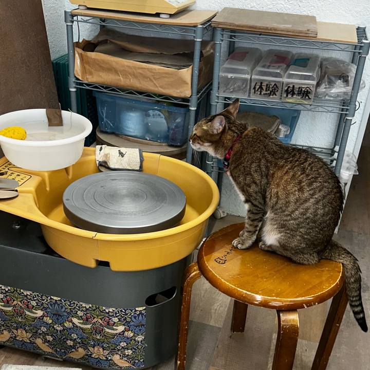 0b521895 83ef 410d 86a9 2423c2af7671 1759649478411