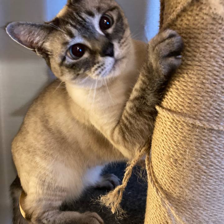 0b5237eb 9779 4c7c a50c 4ae5109648d1 1746792586411