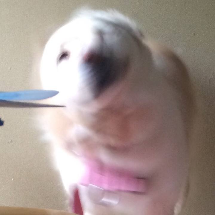 0b523bcf ff9e 436a afb9 8974fb26e7fa 1528207489452