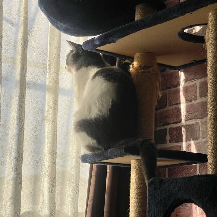 0b52519a 2715 4b22 bda6 d31c75658e0f 1698618657463