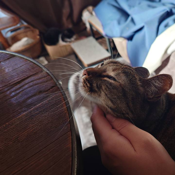 0b52e9be 8f61 47af 961d 9cde788403c5 1771454574712