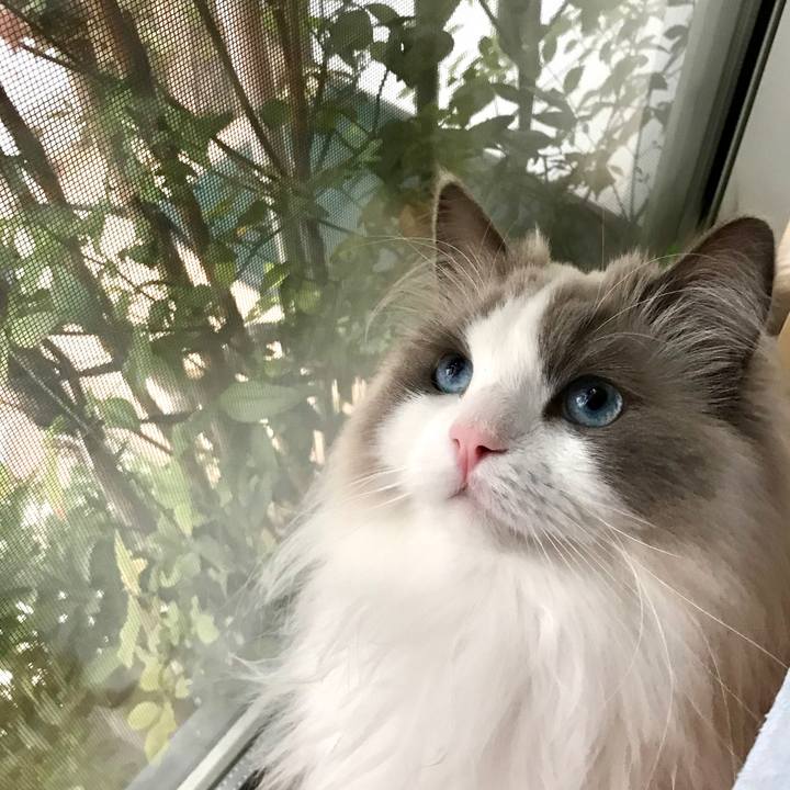 0b5306e9 e9ee 4cfe 86c2 ba1260433c13 1586683955026