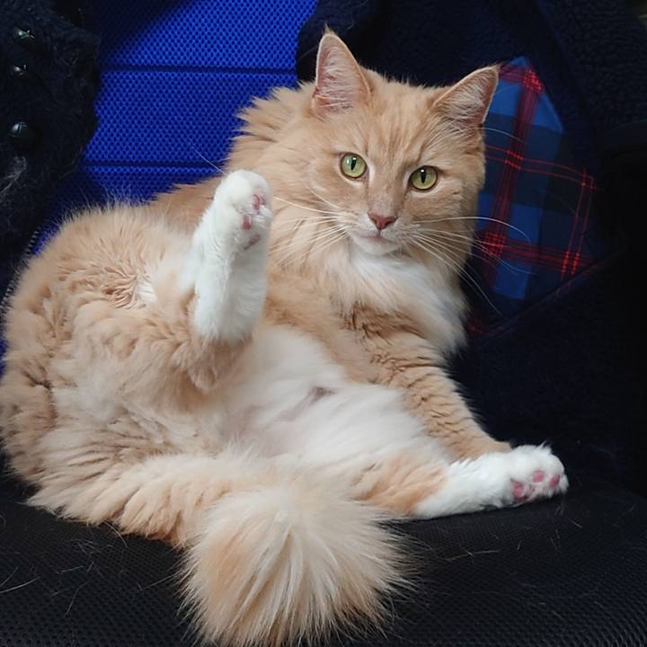 0b531f40 b277 43ee b356 5472922436fd 1649300717646