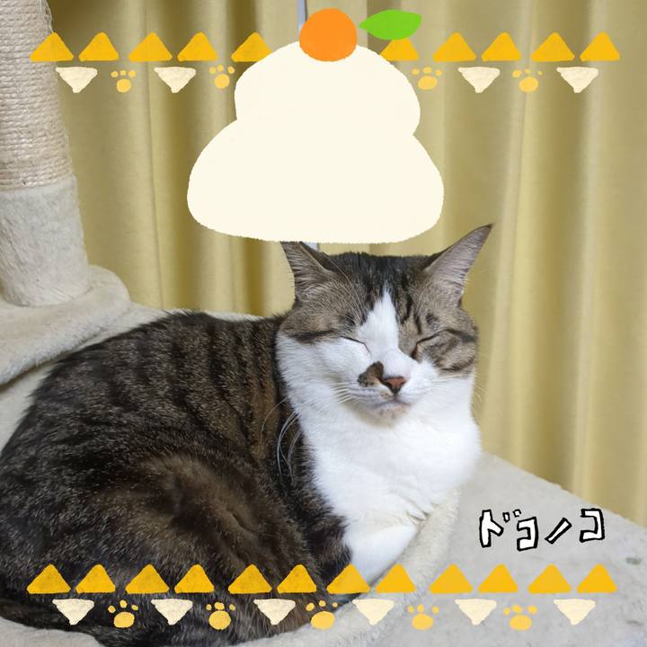 0b53292a 220a 4973 837c 10cf58d2d6d5 1704106428472