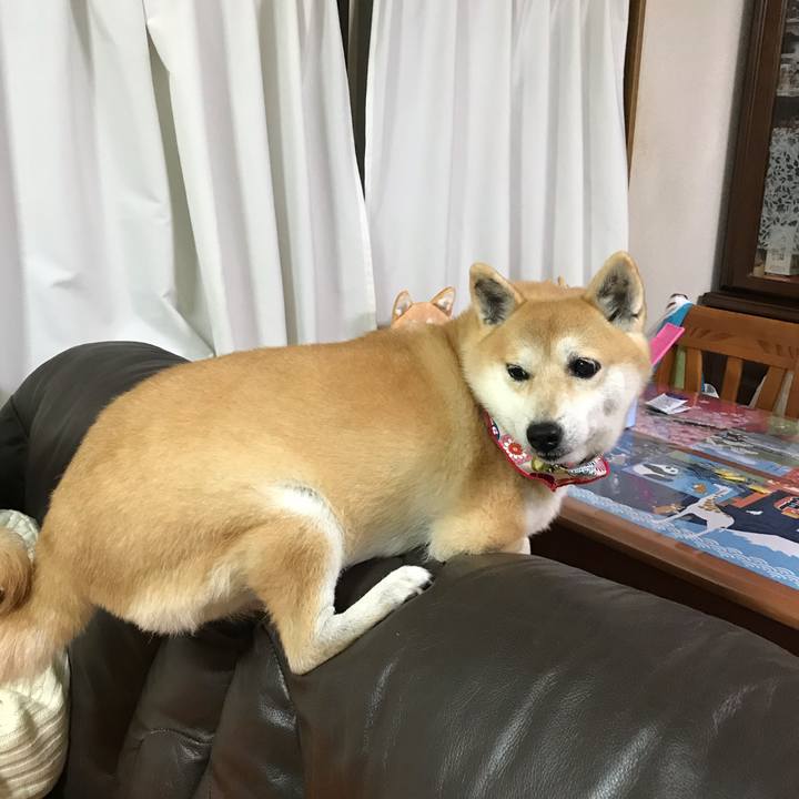 0b533f29 520b 4d45 acd2 2af21e763972 1541422489063