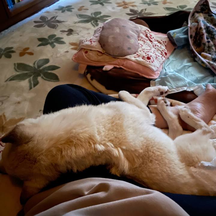 0b534e83 1f90 4f23 bf18 d803549b774c 1674428544869