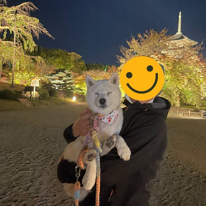 0b5363a7 d94f 44cc 8807 4a1c8e3f7c83 1732544841872