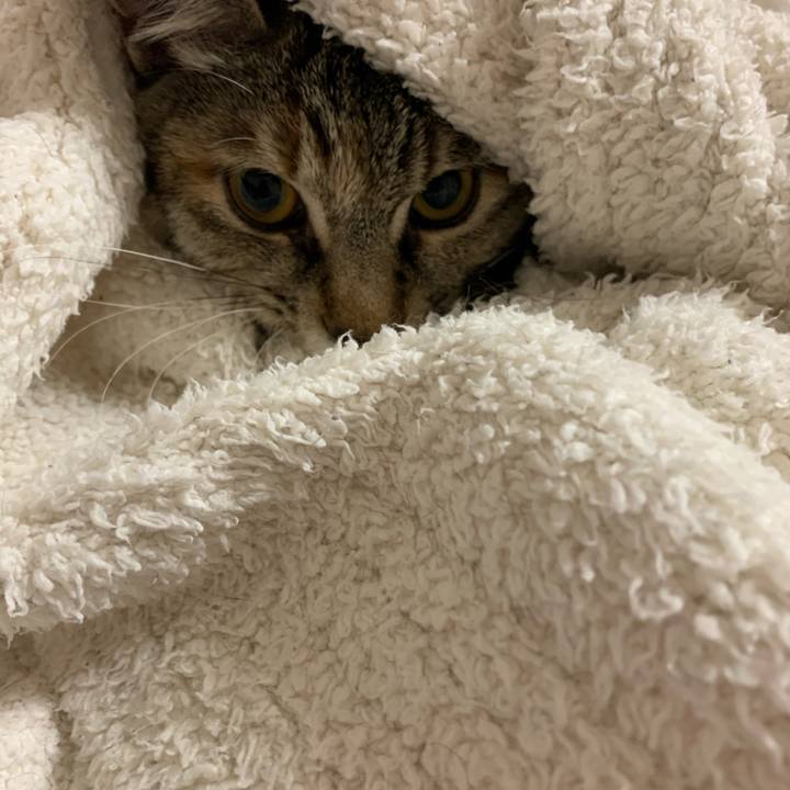 0b53646f 8c4a 4571 98d6 abf22abc5aaf 1601467154025