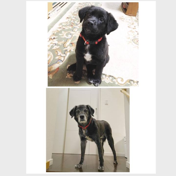 0b53650e ec16 42ad b4a2 c66e9917bf9d 1770772647826