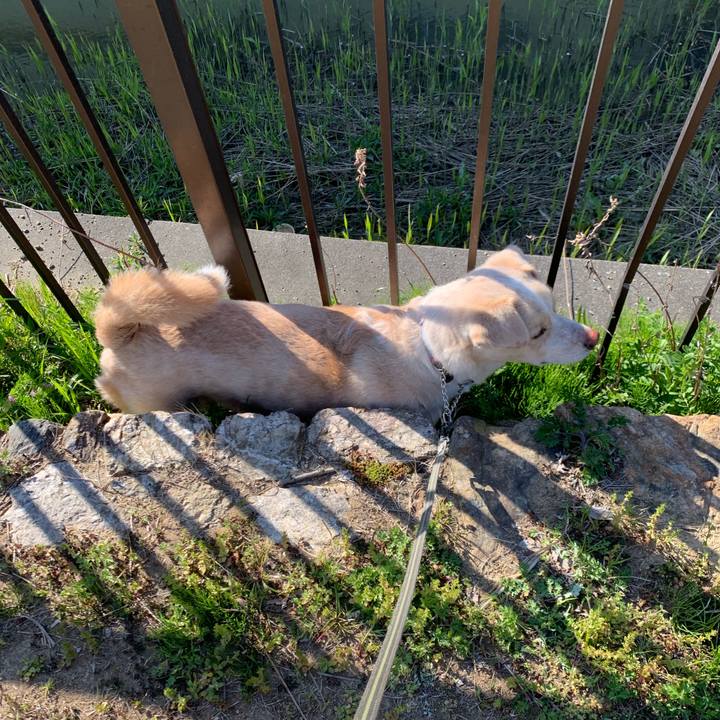 0b53a750 e2f6 46fb 89ad cbeb06fb150e 1554336955164