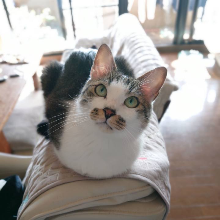 0b53c65b fdf0 4661 a12e dc0bd8f6ab69 1614399503853