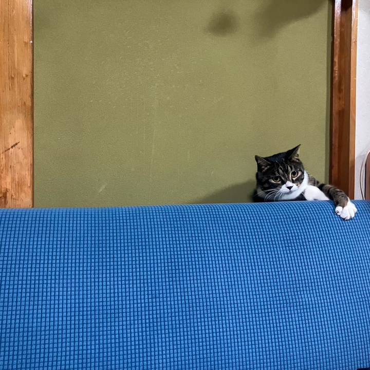 0b542f64 3c79 4657 a6a2 8f63e6a618d8 1764289598908