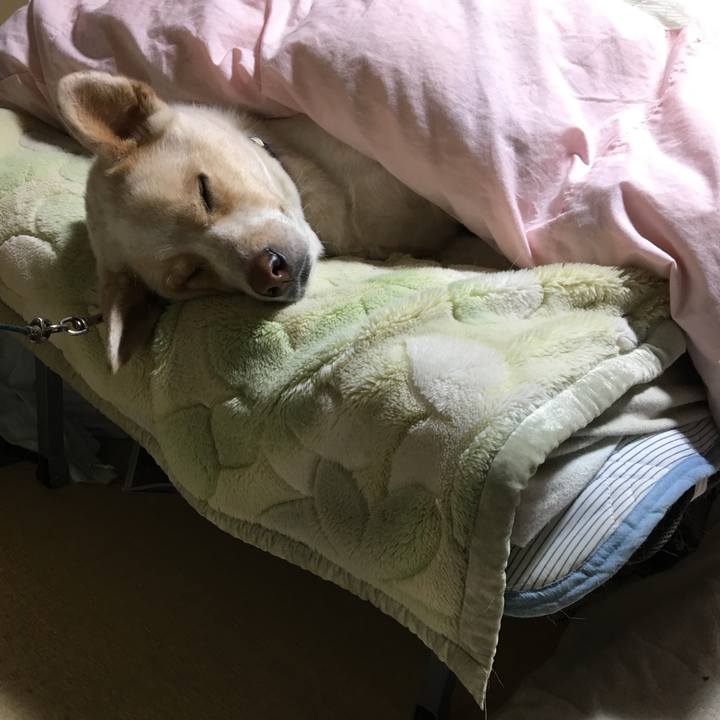 0b545ba8 8b43 43a8 812f 692bc1cb7816 1514722414574