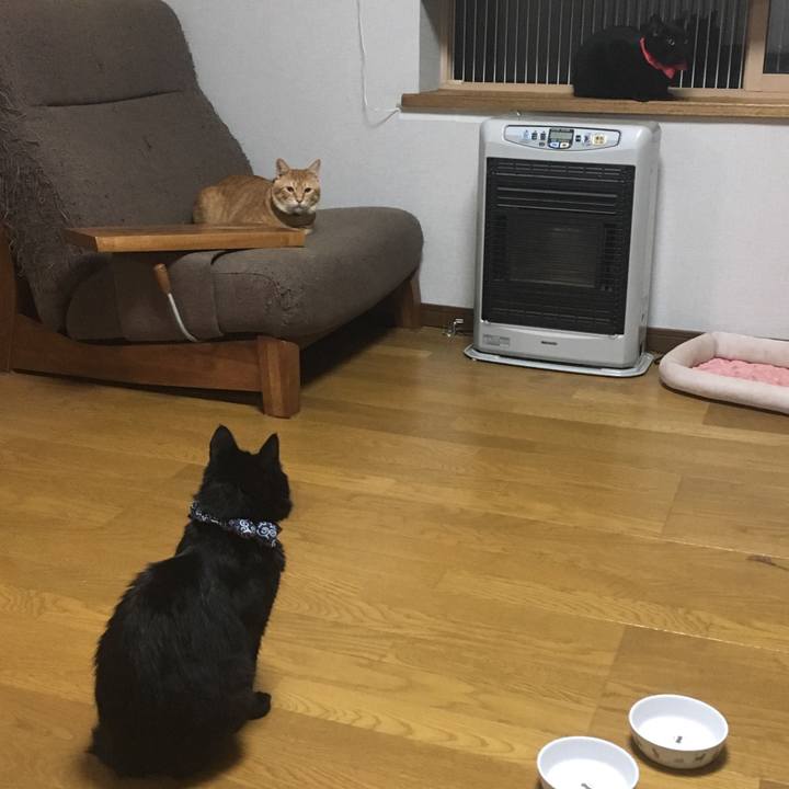 0b547448 e977 4959 b77f 16afeffba05d 1536834730942