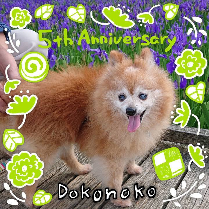 0b547751 3655 4e52 a3e8 acdc5c98f881 1622891405544