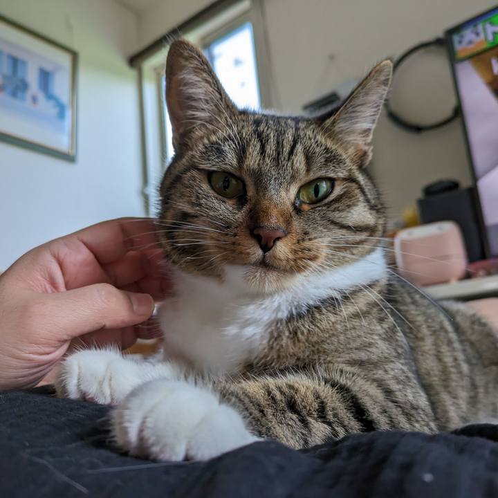 0b549a15 4405 4c4d 92e0 d67fe3adb1df 1690094714048