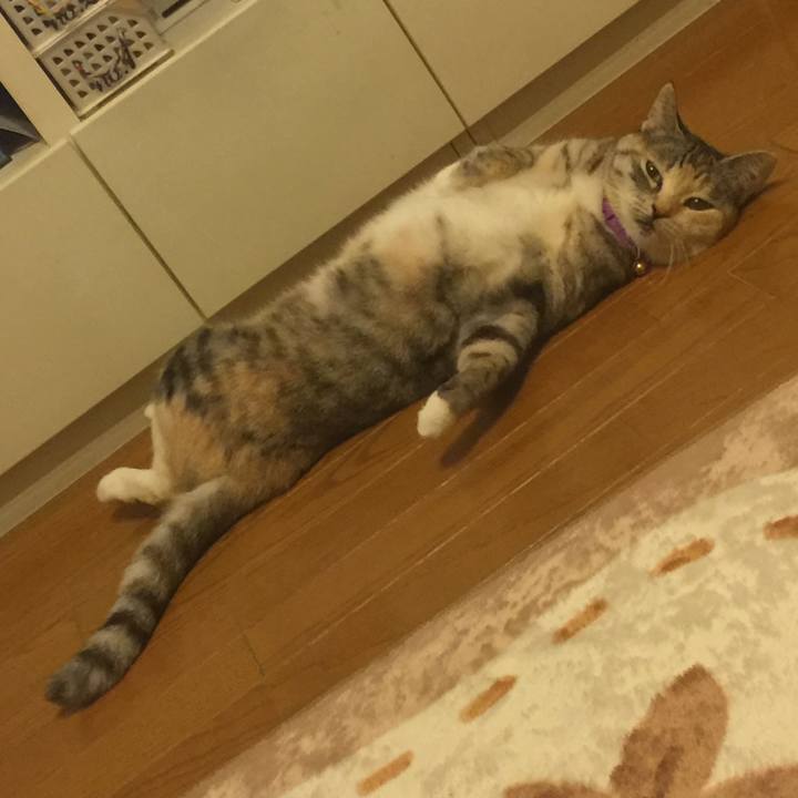 0b54ab0f 584b 4924 8095 2872b7e5ab4d 1556027423135