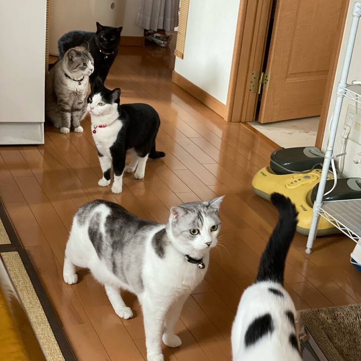 0b54b754 1fb7 4bca bacc 20336cdcd0cf 1628833188010