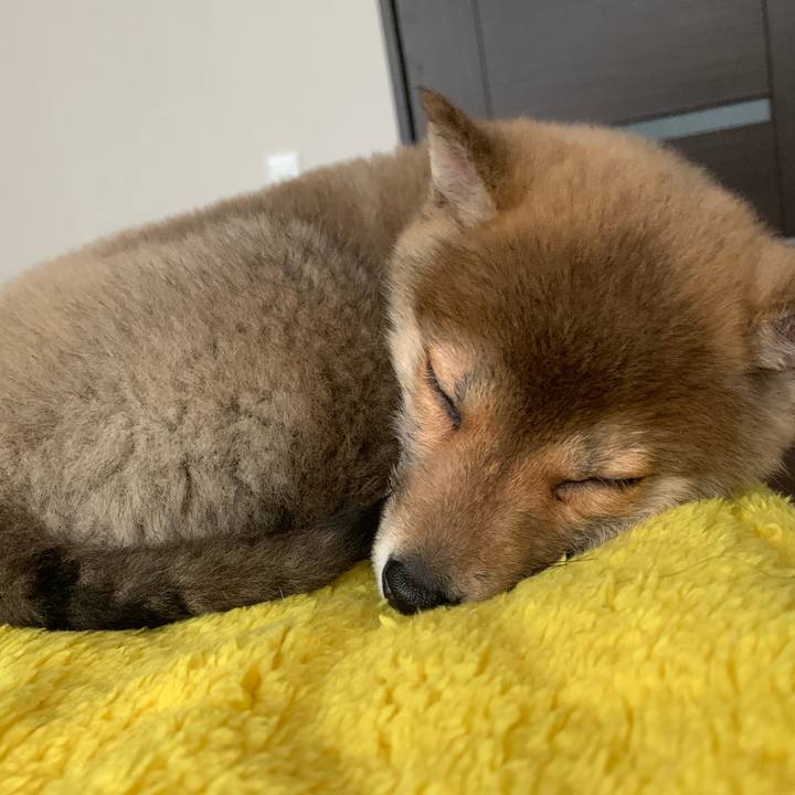 0b54da08 ccf3 45f3 bf31 9c6d0a7056c0 1616904826052