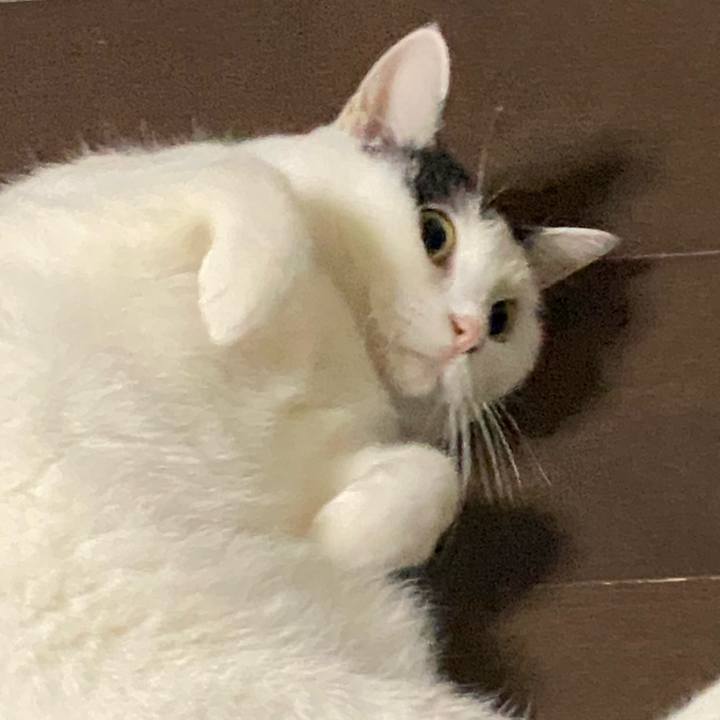 0b556059 1271 43ac 95c3 cfba2b1d75d1 1765207908283