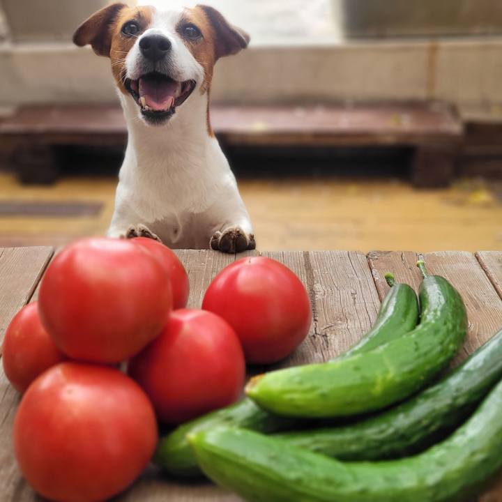 0b55a444 2a89 4dcb af2c 9f599fe7f48d 1687832679230