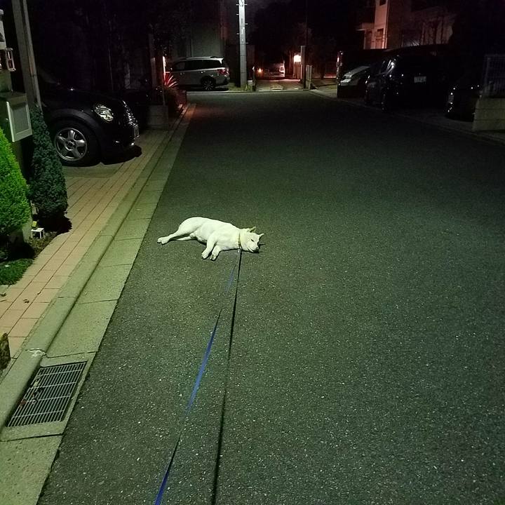 0b55aba0 7d2e 4079 a754 e29156949158 1513264081644