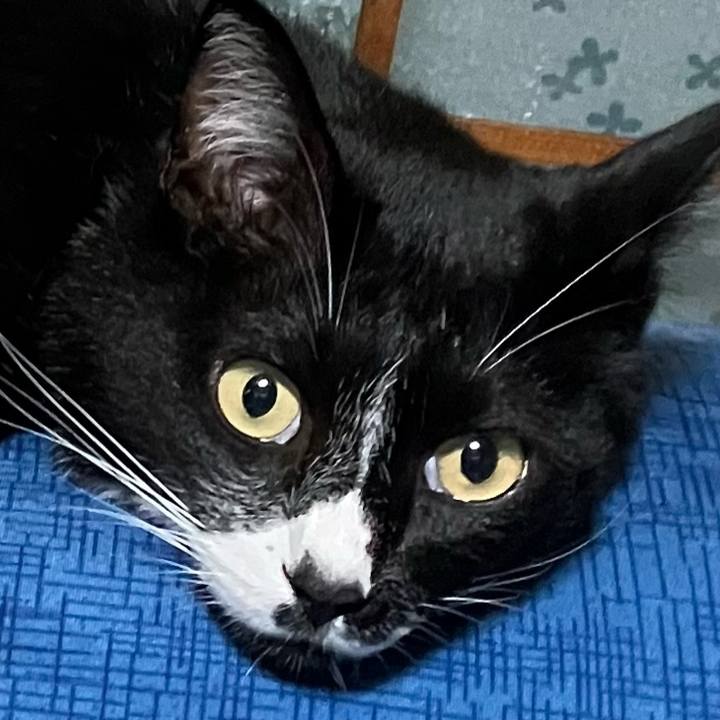 0b55adc3 f232 4190 9577 50ff7e8e12f2 1694246934708