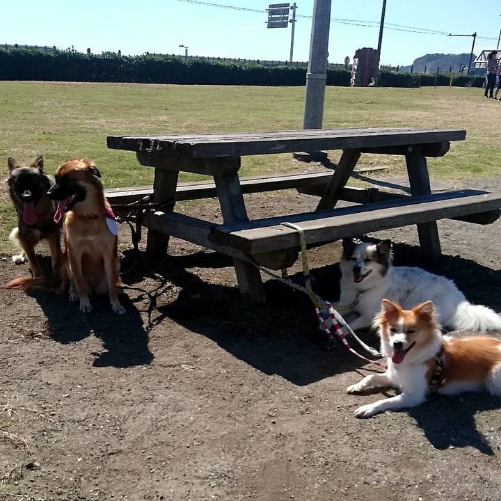 0b55bf8f b185 4a9c b381 89e4bf97a75c 1538999499340