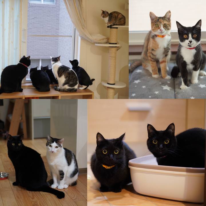 0b55df14 fa51 4156 a7ca fcec0f0a299f 1577766216380