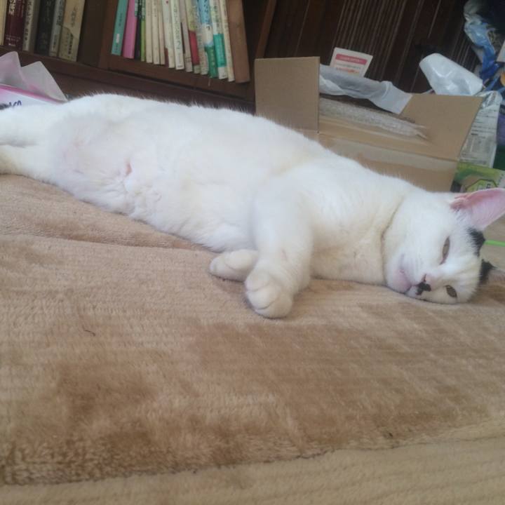 0b563163 ffe1 4027 a290 e70c456f793d 1548473119139