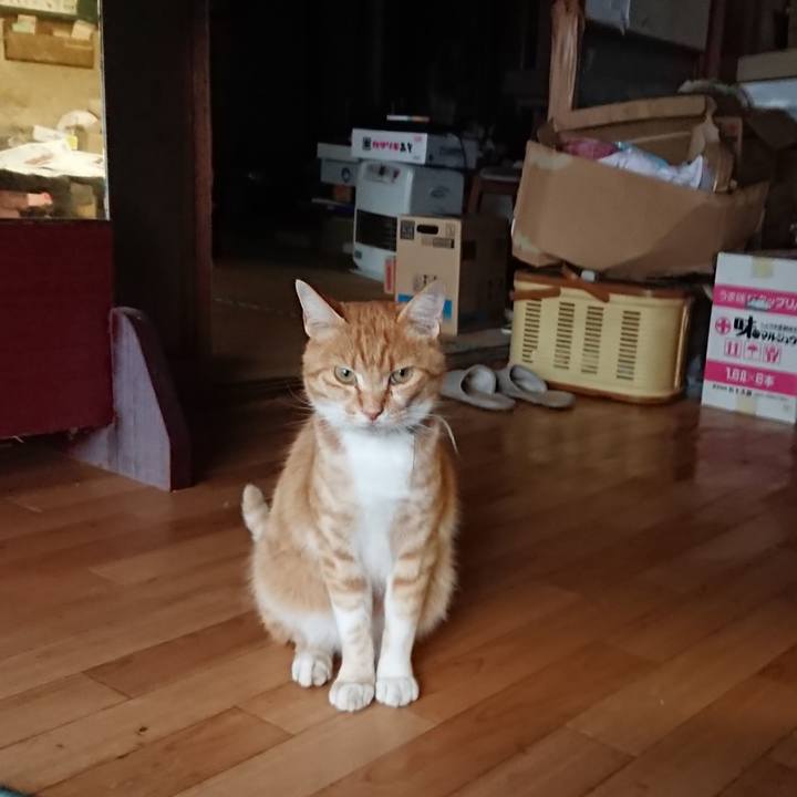 0b564817 7f37 4ccf ae29 9069fde8e05e 1594718131234