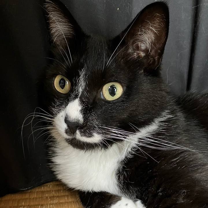 0b56aba1 9709 4fe1 80fb ee247e87f4d9 1691551728908