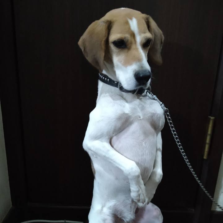 0b57aea5 c9ff 4c4d 86a7 d91877b4090d 1637411868643