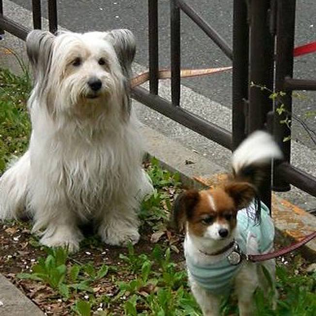 0b57cb50 3a4a 48e7 809e 9f0d1a188120 1535357571225