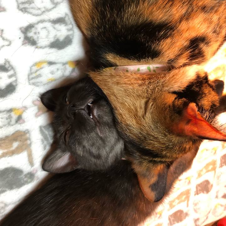 0b580277 912e 42d9 ab04 950b75f1f471 1612367575417