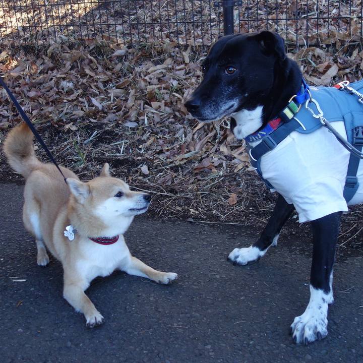 0b581946 ce35 4298 9066 44047b0c7e28 1706057356975