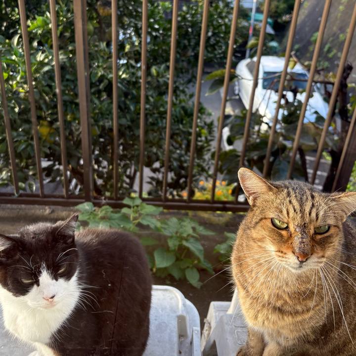 0b582f24 3173 44eb 8775 a512254db5f8 1761568517040