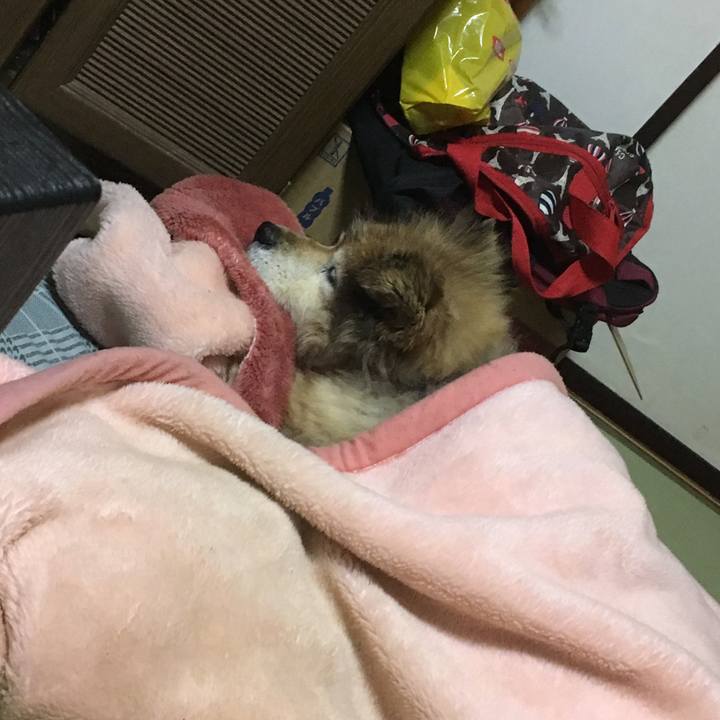 0b583035 fab8 4ffd b9d1 91732c0c8801 1553514689932